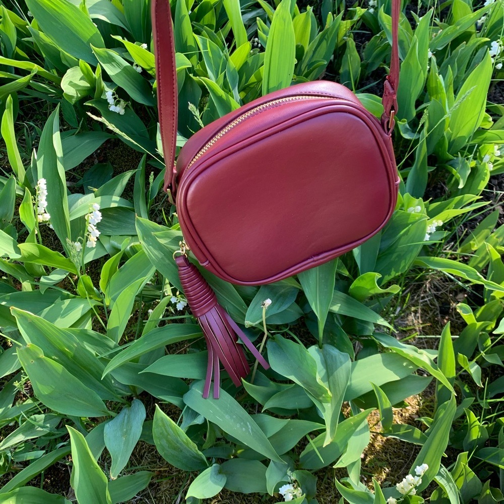 XII | Mini Crossbody - Picture 3 of 13